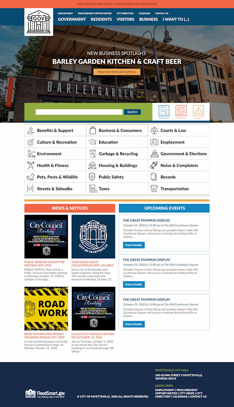 Cover image for Government Website Design