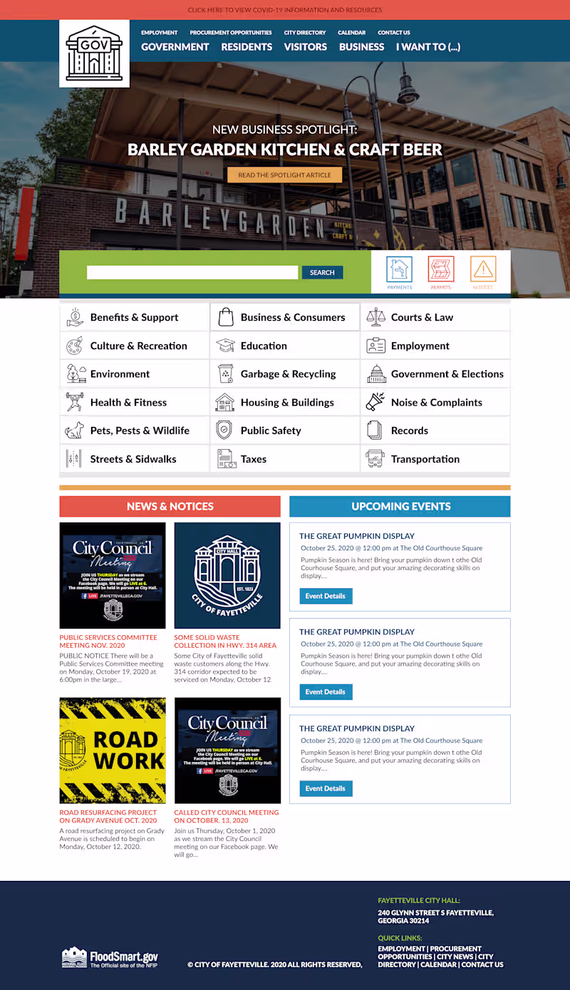 Cover image for Government Website Design