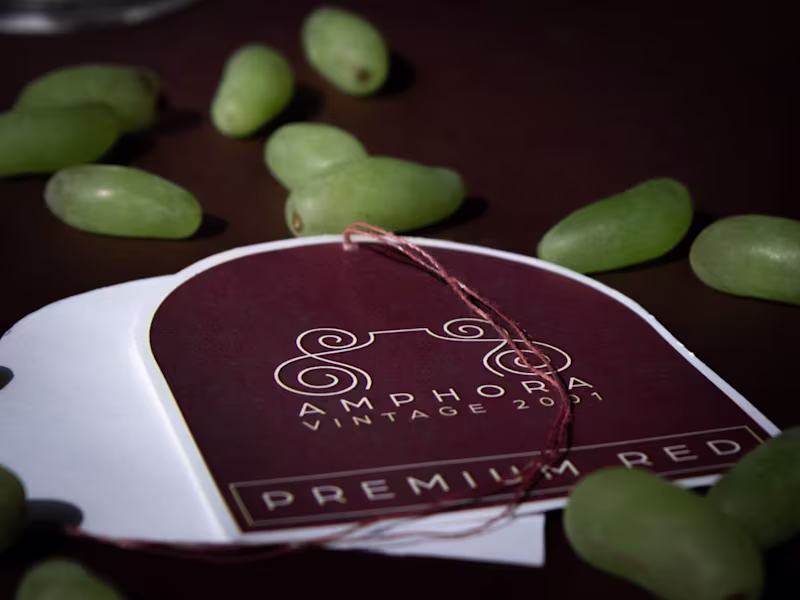 Cover image for Branding Strategy Kit