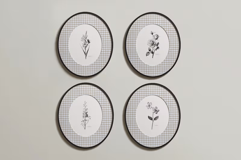 Cover image for Birth Flower Zodiac Illustrations