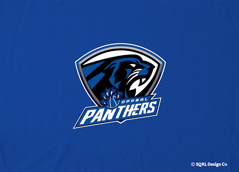Cover image for Oppsal Panthers - Concept