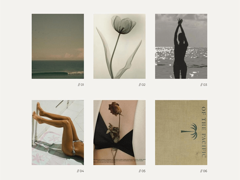 Cover image for Squarespace Website Design