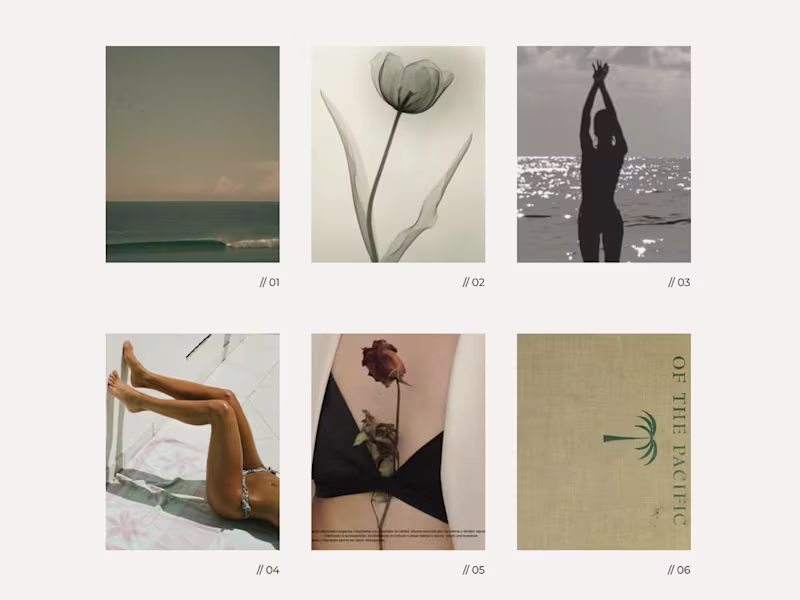 Cover image for Squarespace Website Design