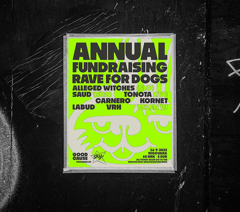 Cover image for Rave for a Cause poster