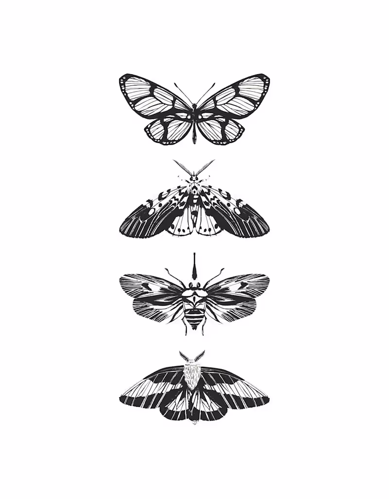 Cover image for Raho