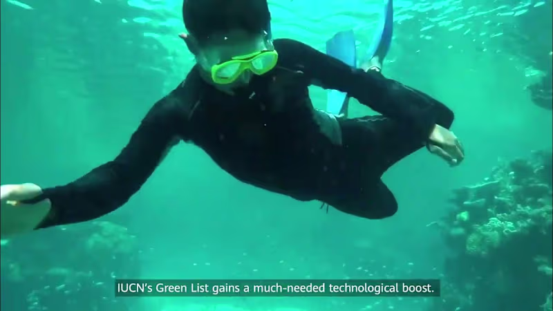 Cover image for Documentary - Environmental