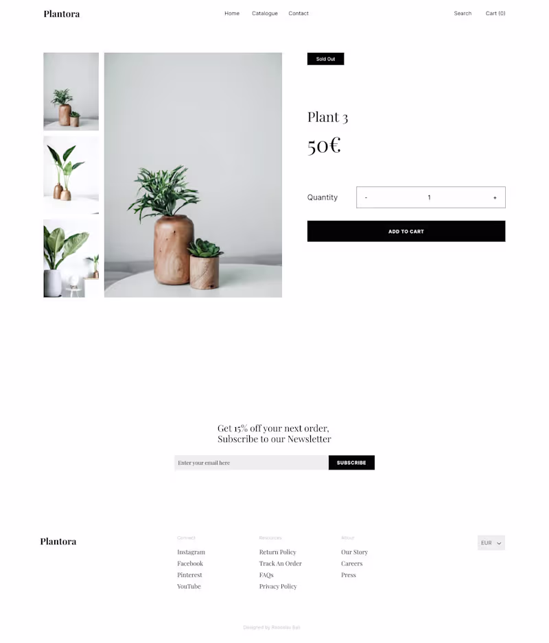 Cover image for Revamping Digital Platform for E-commerce Store