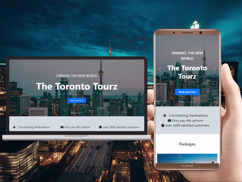 Cover image for Toronto Tourz
