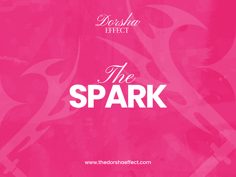 Cover image for The Spark