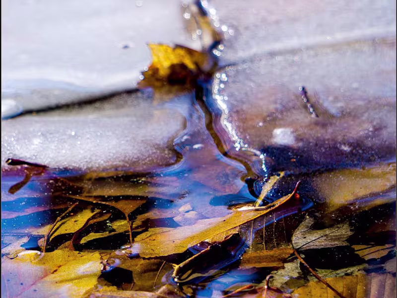 Cover image for Video Production and Post Services