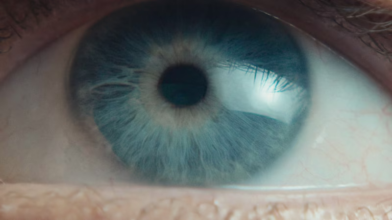 Cover image for Brand Content Playbook