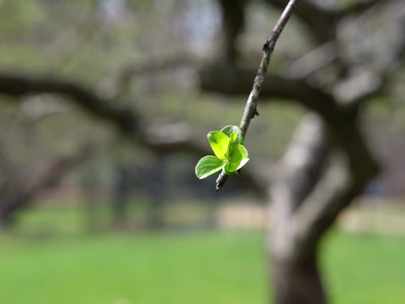 Cover image for Treehugger.com Editor