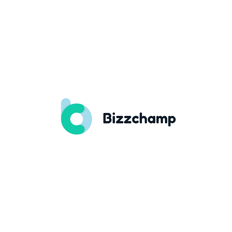 Cover image for BizzChamp LOGO+ Colours & Fonts for website | Visual identity 