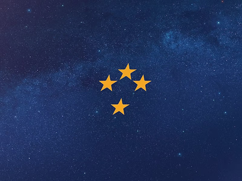 Cover image for BNZ | duncan bone