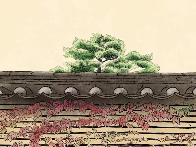 Cover image for Digital line watercolor illustrations 