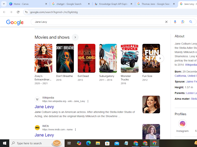 Cover image for GOOGLE PANEL CREATION FOR JANE LEVY