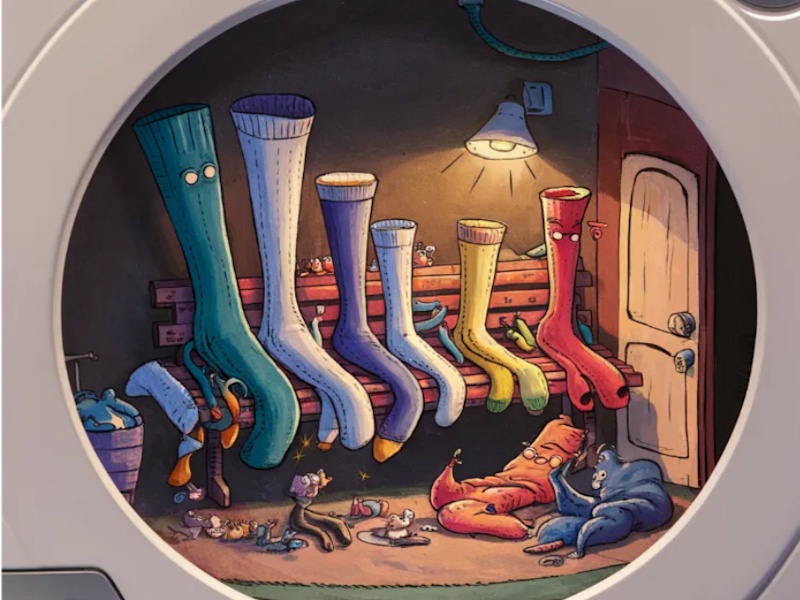 Cover image for Adventures of a lost sock