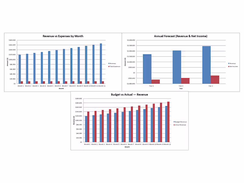 Cover image for Business Budget & Forecast Template