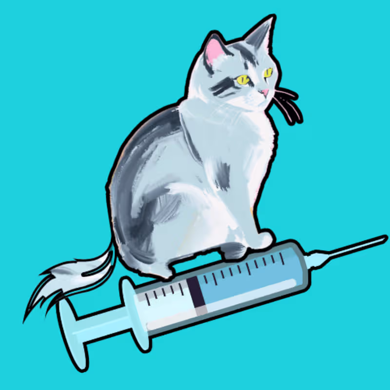 Cover image for Poster project