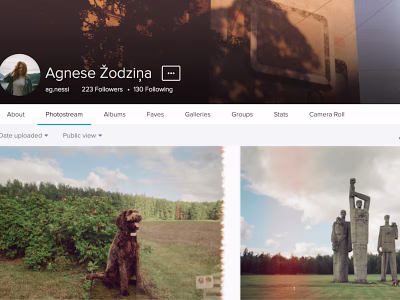 Cover image for Analog Photographer