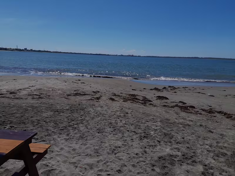 Cover image for Hi my name is Stevin a freshman  freelancer 