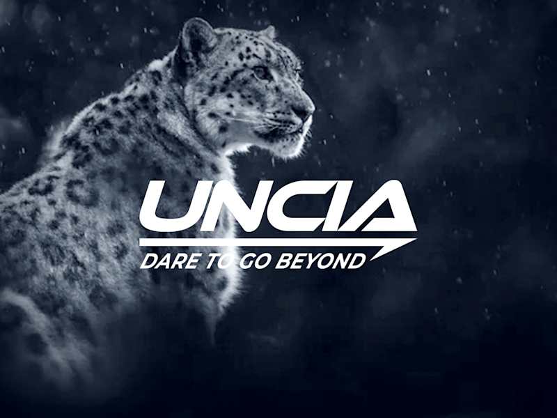 Cover image for Crafting a Distinctive Brand Identity for Market Impact