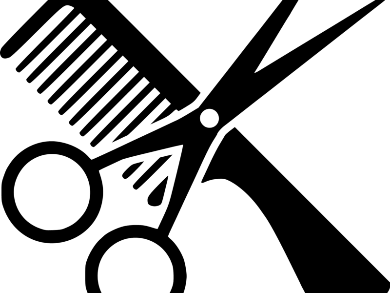 Cover image for Professional Biography