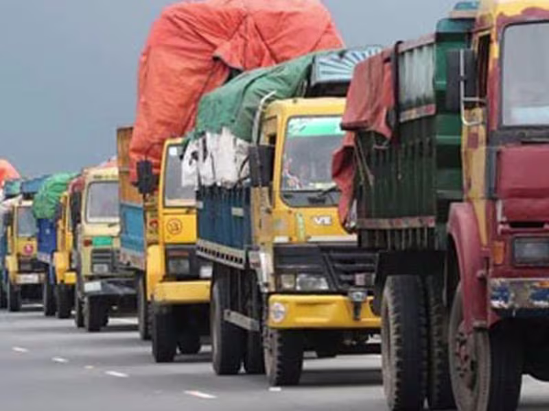 Cover image for Agricultural Export Business