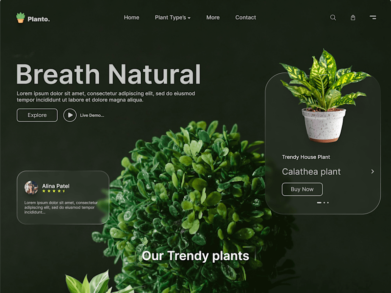 Cover image for Transform Your Online Presence with Custom Web Design Solutions