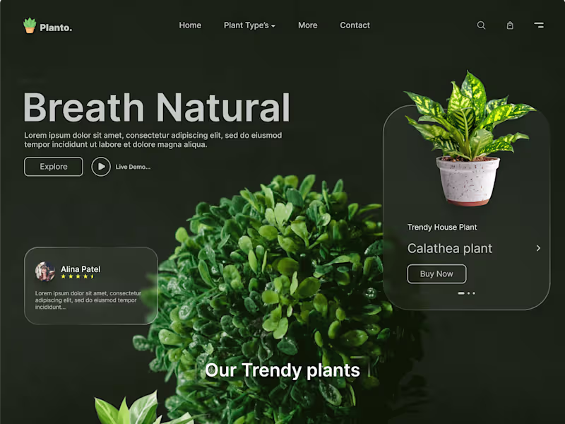 Cover image for Transform Your Online Presence with Custom Web Design Solutions