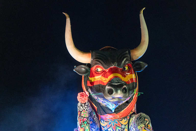 Cover image for Carnival of Viareggio 2020
