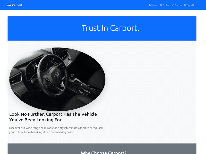 Cover image for Company Web Site