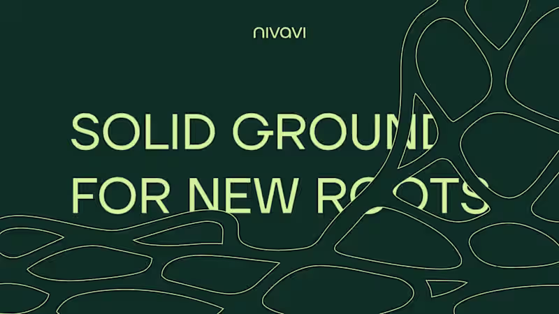 Cover image for Nivavi Brand Identity Design