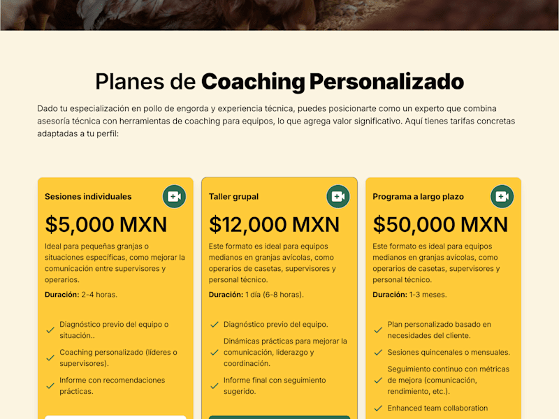 Cover image for High-Converting Framer Landing Pages: Tailored for Your Success