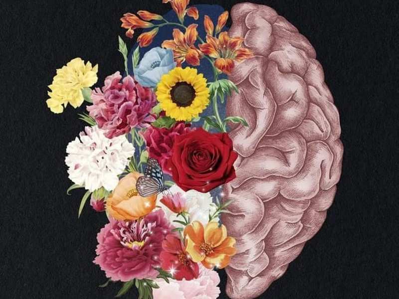 Cover image for Embracing Mental Wellness
