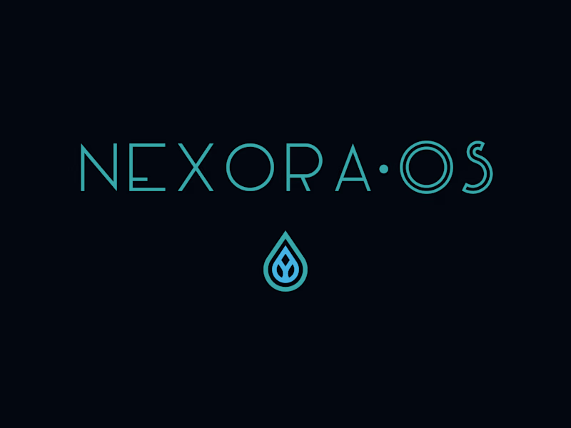 Cover image for Brand manual – NexoraOS