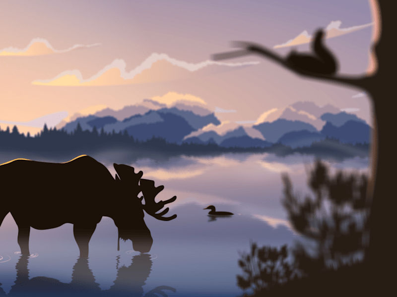 Cover image for Habitats fauniques