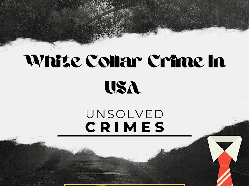 Cover image for White collar crime in USA 