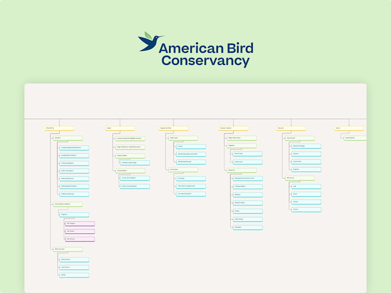 Cover image for American Bird Conservancy (UX Research)