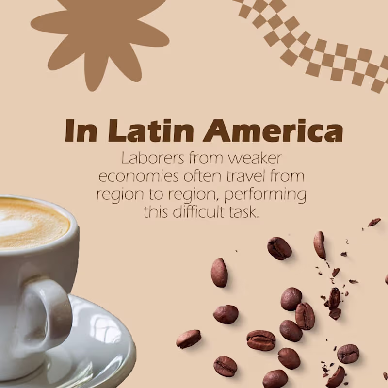 Cover image for Scroll-Stopping Designs for Your Social Media Success