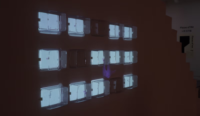 Cover image for Butterfly Trap