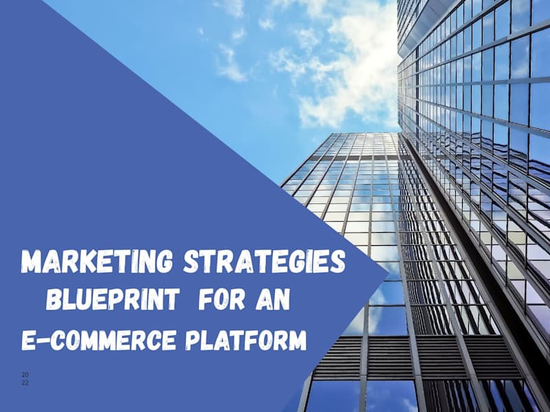 Cover image for Marketing Strategy Development for An E-commerce Platform
