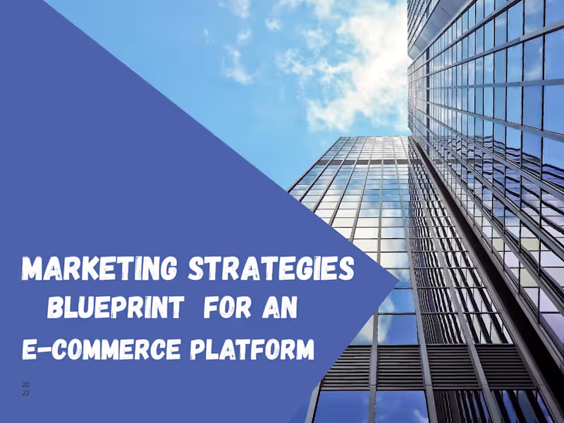 Cover image for Marketing Strategy Development for An E-commerce Platform