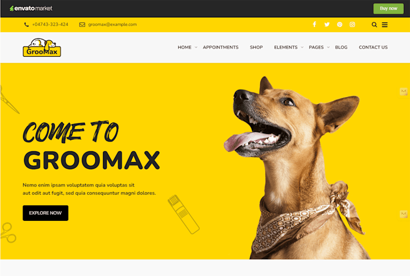 Cover image for Pets  Care / Grooming website