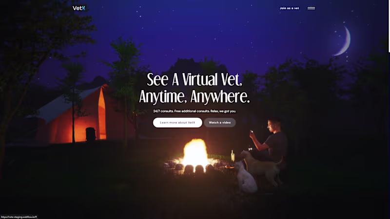 Cover image for VetX