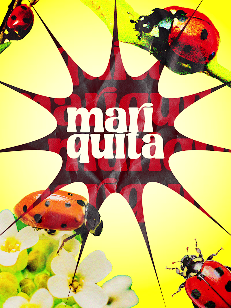 Cover image for Ladybug inspired poster made in Photoshop