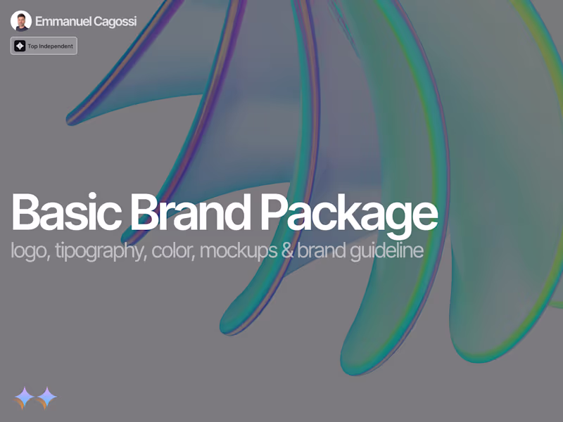 Cover image for Basic Brand Package :: From Zero to One