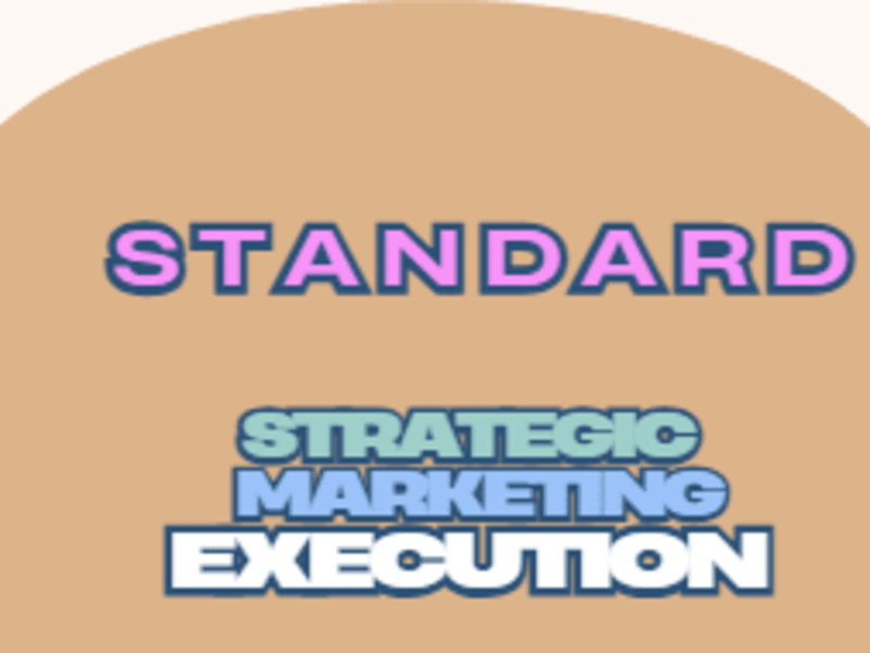 Cover image for Standard: Strategic Marketing Execution for a Product Launch
