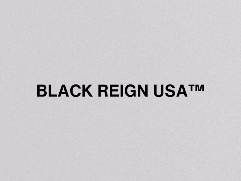 Cover image for BLACK REIGN USA