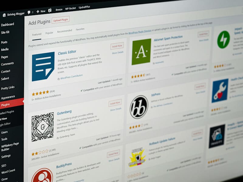 Cover image for WordPress Website (Custom Theme)